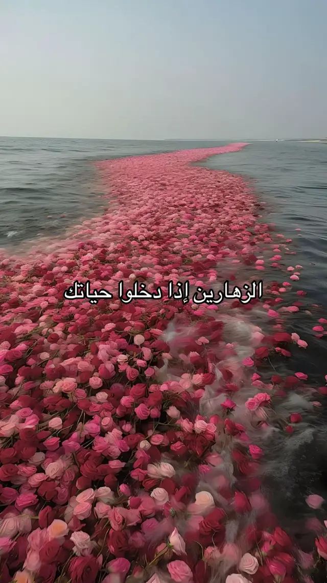 #fyp #foryoupage #زهران #الرياض #الباحة  #شعراء_زهران #الديرة #زهران_العناصي #زهران_هامة_الازد  #الباحة_غامد_زهران #غامد_زهران #زهران_العناصي #ترند_تيك_توك #حنا_زهران #الخرج #الخرج_الآن #الخرج_الدلم_الصحنه_الهياثم #الرياض_الان #الرياض_الرمال #عقارات_الرياض #العجلان #القصيم #شمر #عتيبه #بلحارث #قحطان #عنزة #بني_شهر #بني_خالد #الخبر #الشرقية_الخبر_الدمام 