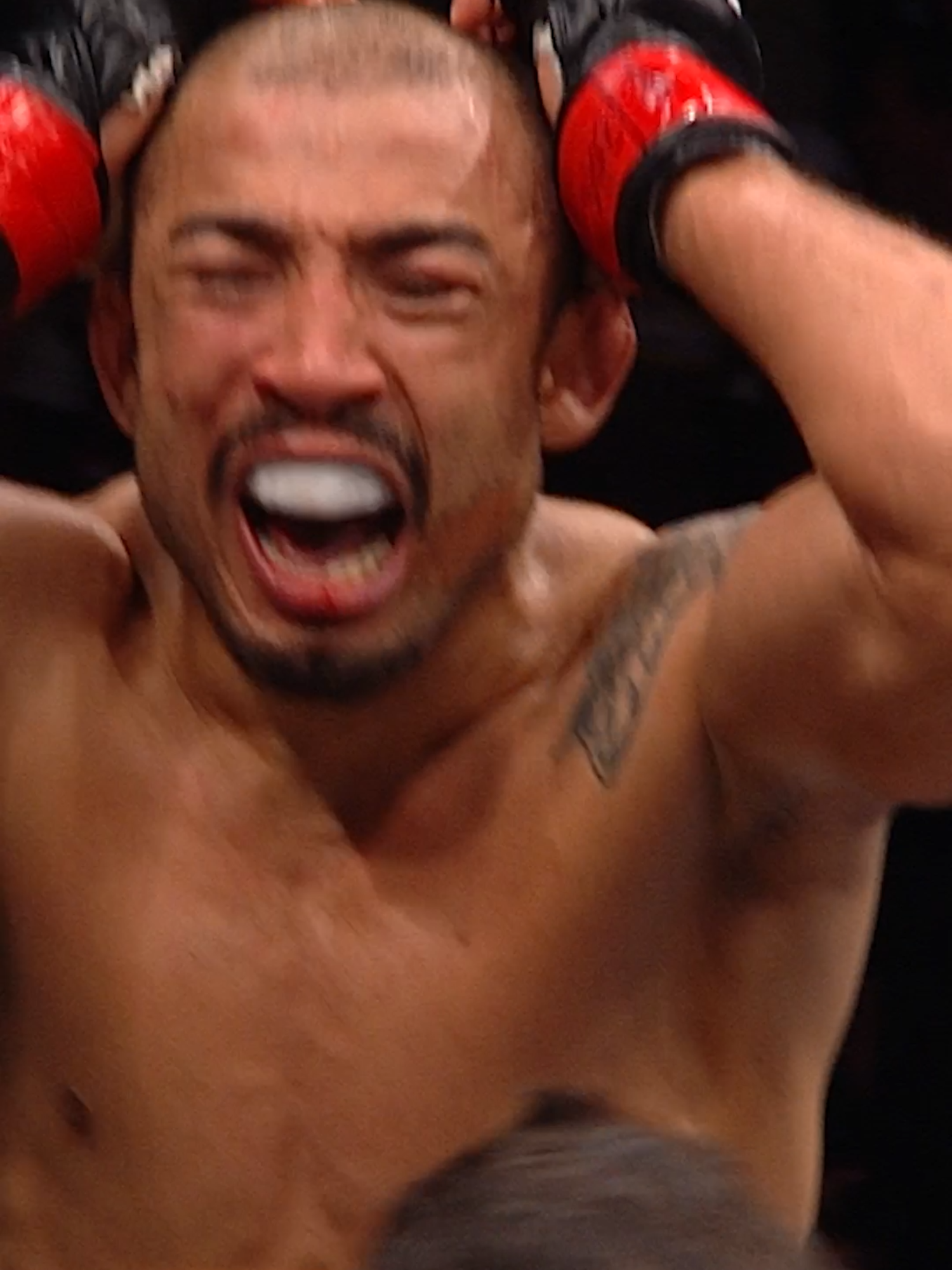 Sábado é dia de ver a lenda #JoseAldo em ação no #UFC315! 🇧🇷 Quem aí vai estar na torcida pelo Rei do Rio? 👑 #UFC #MMA #TikTokEsportes #Nocaute #TKO