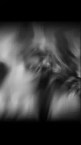 ❤️‍🩹❤️‍🩹❤️‍🩹 #caucas #dagestan #recommendations #05 #06 #kavkaznation #chechnya #07 #кавказ #лезгинка #горцы #дагестанцы #ingushetia #ingush #avar #avaristan #caucasusdance 