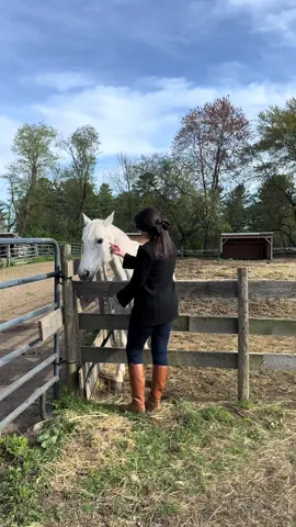 After work, I enjoy heading to the ranch and hanging out with the horses. I love the sea and look forward to Seaport, but to switch it up, I come out here (especially if I am working from home). I hope you enjoyed this short video as much as I enjoyed recording it. The jacket is vintage Ralph Lauren, darling! ♥️🐎🎀 @Ralph Lauren #fyp #horse #horses #horsesoftiktok #horsegirl #horsetok #horselovers #horselife #horseriding #horserider #ralphlauren #ralphlaurenaesthetic #creatorsearchinsights 