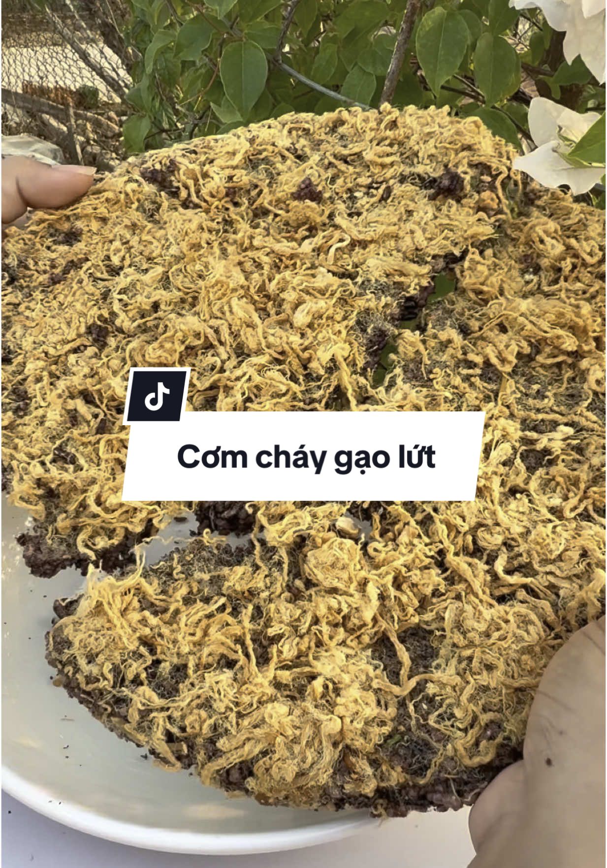 Ê gạo lứt mà làm cơm cháy ngon đỉnh nha mấy bà #suumuoireview #comchay #comchaygaolut #comchaychabong 