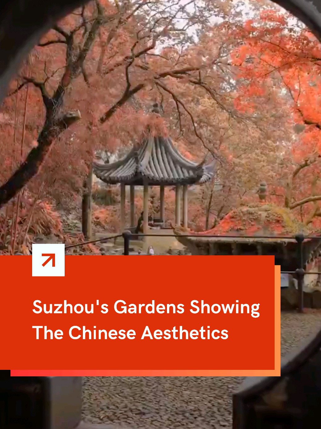 #Suzhou’s classical #gardens bloom with poetry, beauty, and timeless #Chinese aesthetic! 💐#flower 