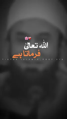 ALLAH TALLAH FARMATA HAI….!!!!🌸❤️‍🩹🕊️ #foryou #foryoupage #trending #tariqjameel #islamicvideo #islamicpost #trendin #unfreezemyaccount #burhan_tv #viral #viralaccount #goviral #muhammad_parvi #notyourparvi #islamicpost018 