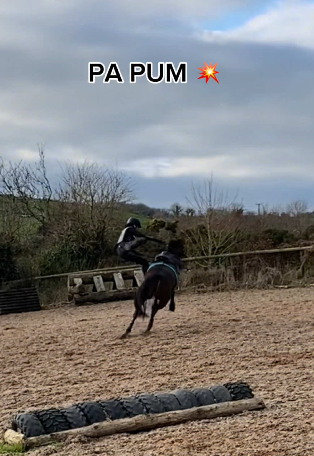 had to join this trend with some of our classics 🤌🏻 #horse #equine #equestrian #horseriding #horsetok #horsegirl #horsesoftiktok #equestrianvibes #equestriantiktok #fyp #foryou #abcxyz 