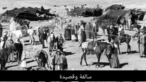 #الشعر_النبطي #قصايد_شعر #شعراء_وذواقين_الشعر_الشعبي #قصة_وقصيدة #سالفة_وقصة #السعودية🇸🇦 #الكويت🇰🇼 #قطر #الامارات #عمان🇴🇲 #العراق #الشعب_الصيني_ماله_حل😂😂 #اكسبلور #العراق_السعوديه_الاردن_الخليج 