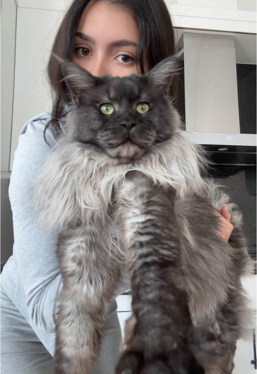 my recent collection 