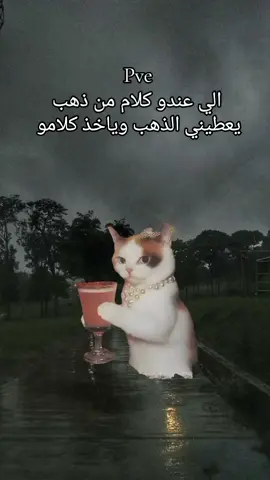 #Meme #MemeCut #CapCut #💔🙂🥀 #وهيكااا🙂🌸 #انو_وهيكاا🌸🙂 #مجرد________ذووووووق🎶🎵💞 #اكسبلور #لا_اله_الا_الله #اللهم_صلي_على_نبينا_محمد 