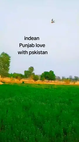 we appreciated her for this song ####mera pind Mera sohna punjab#🌺🌺🌺🌺🥀🥀🥀🌺🌺🌺 #for you friend page#