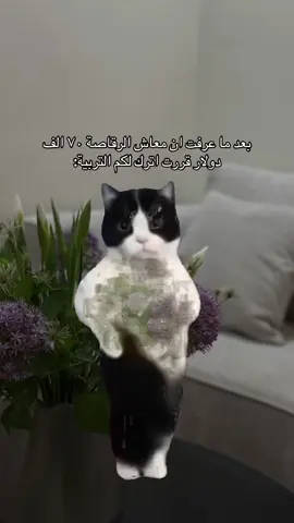#CapCut #الشعب_الصيني_ماله_حل😂😂 #اكسبلورexplore #fyp 