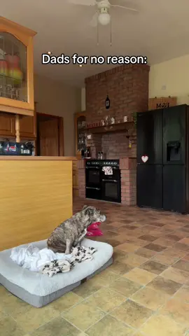 We all have the same dads 😂 #fyp #relatable 