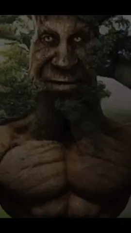 Guys dont tuch everything #trees#woo #wood#videoviral #fyp #new #filter #tik_tok #bro 
