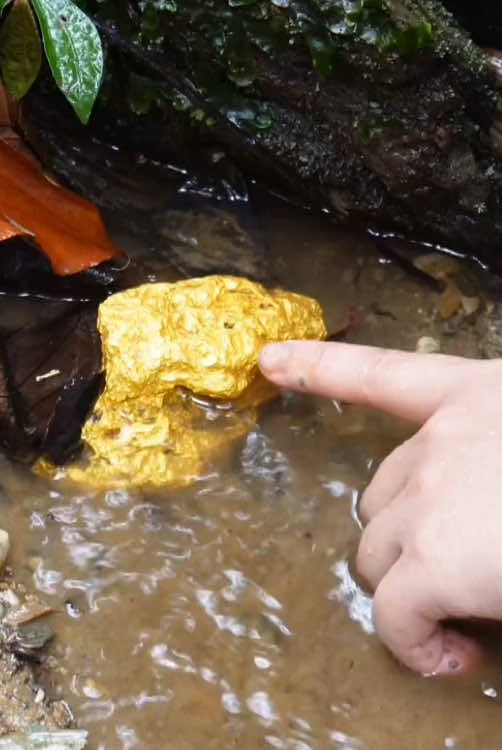 #gold #treasure #hunting #treasurehunt #diamond #goldpanning #millionviews #goldmine #goldnugget 