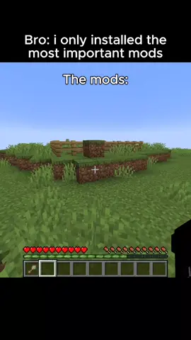 i only installed the Most important mods #Minecraft #minecraftmemes #memecut #viral #fyp 