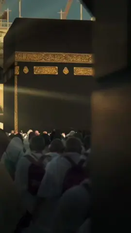 اللهم أرح قلبي ونفسي وجسدي وأبعد عني مايزعج خاطري #يارب #اللهم_امين_يارب_العالمين #دعاء_جميل #اللهم_امين #يارب❤️ 