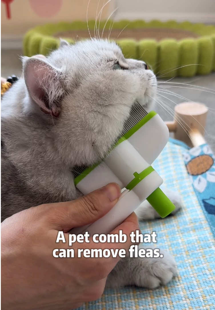 A pet comb that completely bids farewell to hair and dirt.#pethairremoval #tiktokmademebuyit #fyp #CleanTok #petproducts #petcomb #pet 