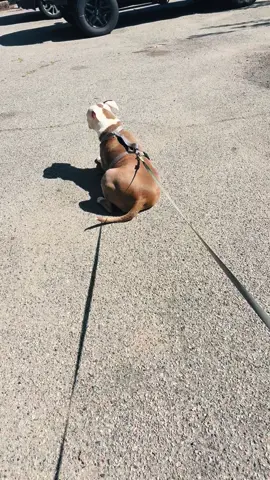 Reiffer is so dramatic, always trying sunbathe