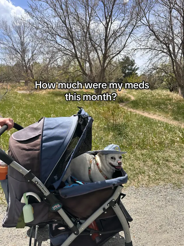 Knives loves contracting a UTI or yeast infection RIGHT as her insurance payout is running dangerously low 😭 