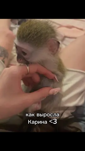 накидайте лайков 