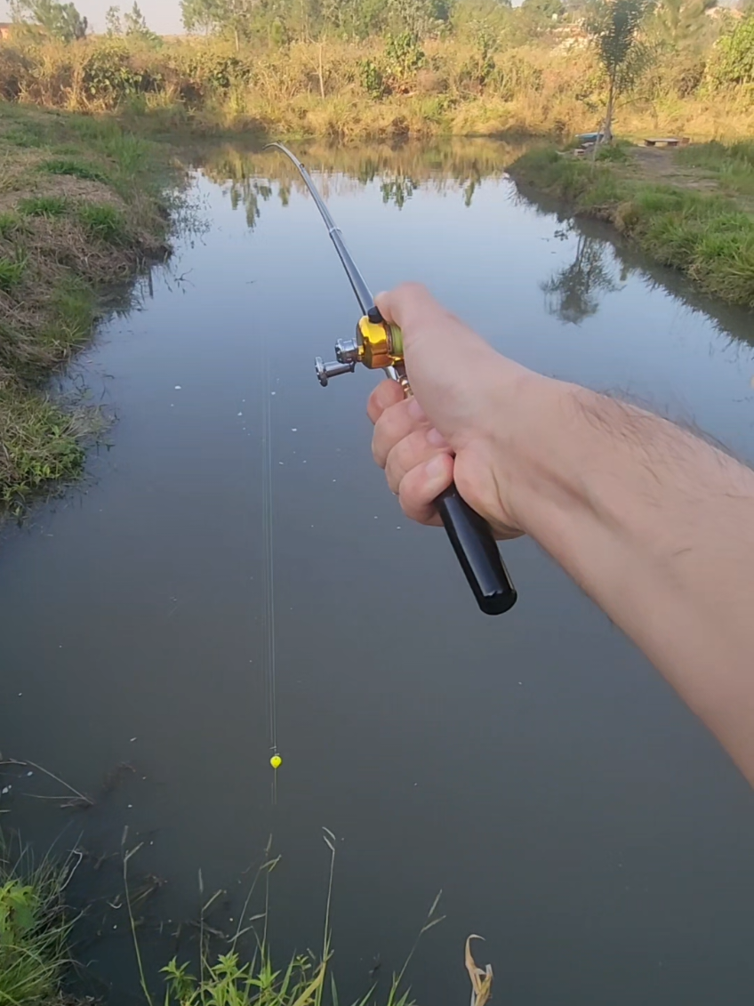 #pescaria #pescador #tiktokshop #fyp #viral_video 