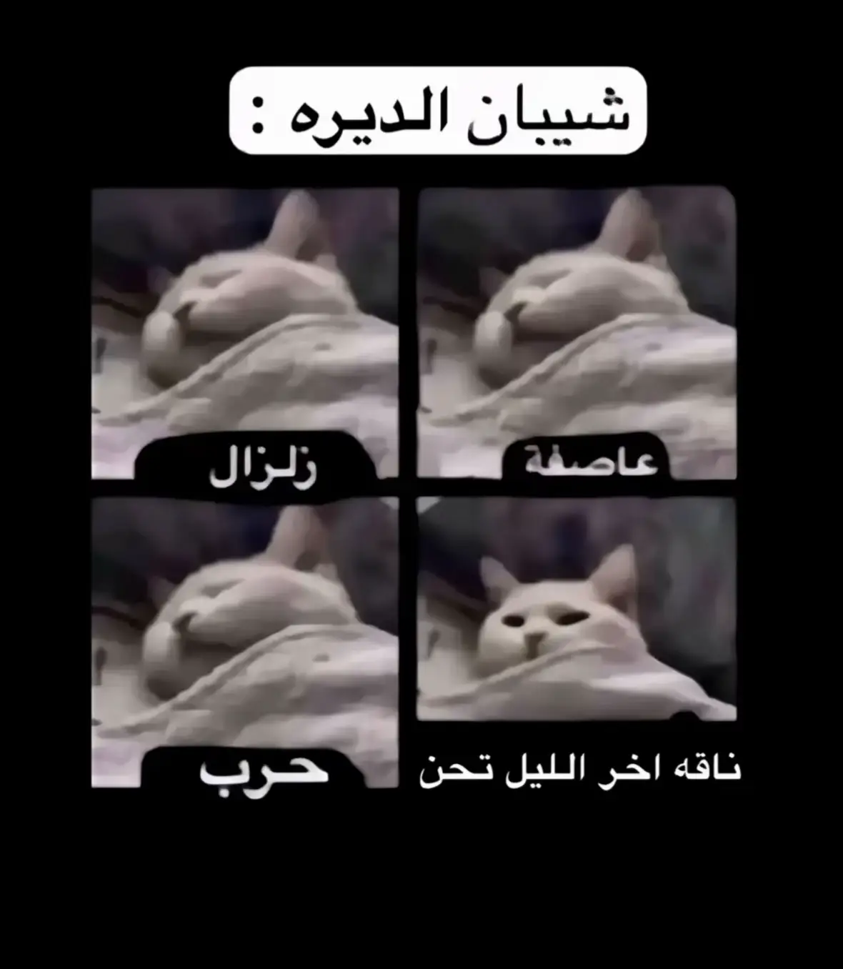 #الشعب_الصيني_ماله_حل😂😂 