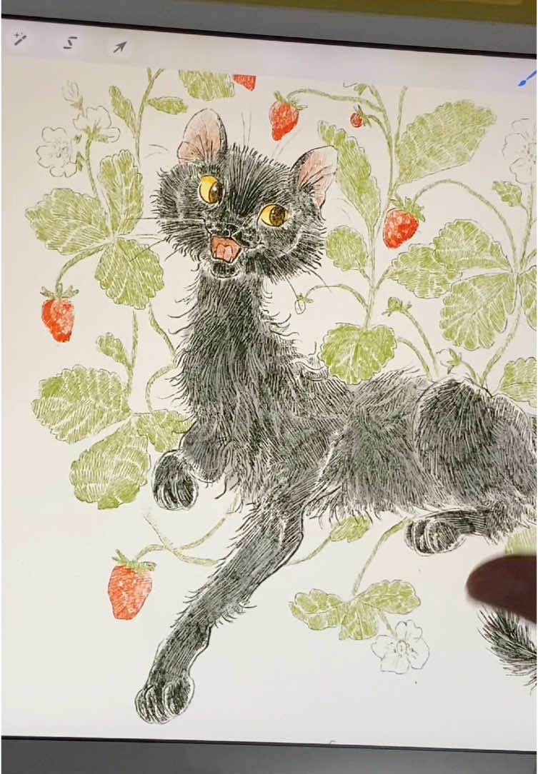 Strawberry patch cat 🍓✨ . . . #illustration #procreateart #catart #digitalartist #strawberries #blackcat 