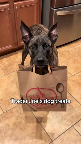 Bella’s Trader Joe’s treats #inspector #traderjoes #dogtreats #traderjoeshaul #belladog #malinoismastiff 