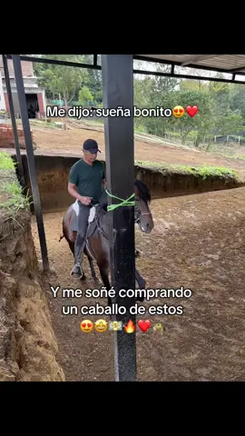 Y soñé muy bonito😍 #caballos #caballistasdecorazon #viralvideos #😍 #🐴 #paratii #fypシ゚ #caballocriollocolombiano🇨🇴 #agropecuario #horsegirl #foryoupage #greenscreen #canam #caballostiktok #pppppppppppppppp #