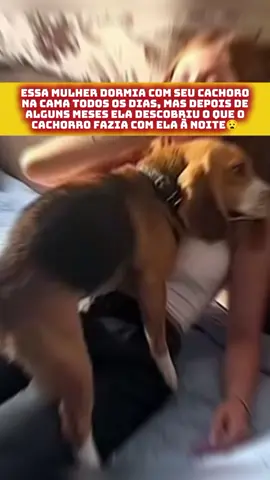 #historia #casosdelavidareal #historiasbizarras #casosmisteriosos 