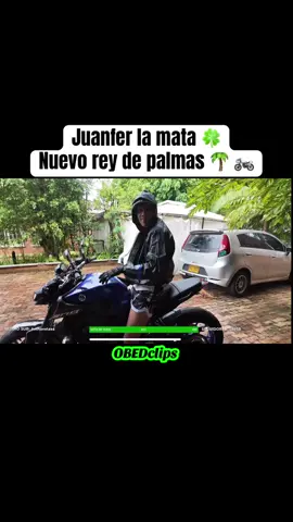 Nuevo rey de #palmas @JuanFerLaMata🍀 ……….#juanferlamata #mrstiventc1977 #mrstiventc #mrstiven__tc #mrstiven #guerrillatc♥️ #guerrillatc #mt09 #palmas #elpoblado #palmasmedellin 