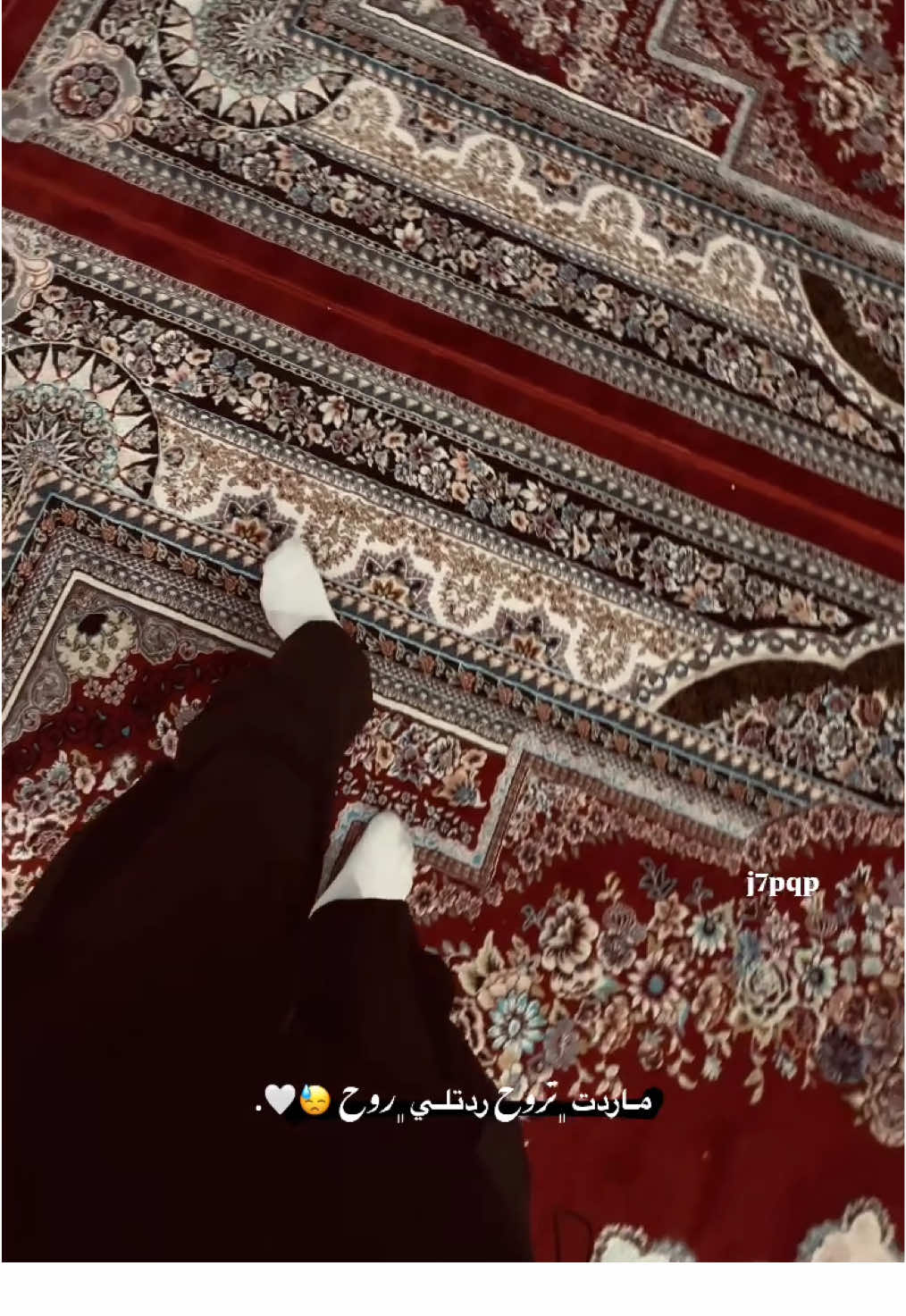 ردتلـي روح 😞. #كربلاء #تصوير_سنمائي #سيد_سلام_الحسيني #سلام_ومن_بعد_صاير #شعب_الصيني_ماله_حل😂😂 #طوز #طوزخورماتو #j7pqp 