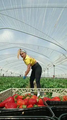 #viral_video #foryoupage❤️❤️tiktok #neipertee 