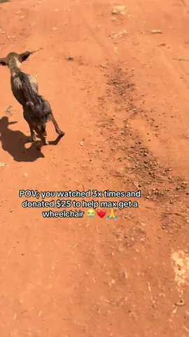 PayPal email in bio to donate🙏 #goviral #disableddog #animalsoftiktok #animallover #dogviral #usalife #foryoupage #foryoupage #dogsoftiktok 