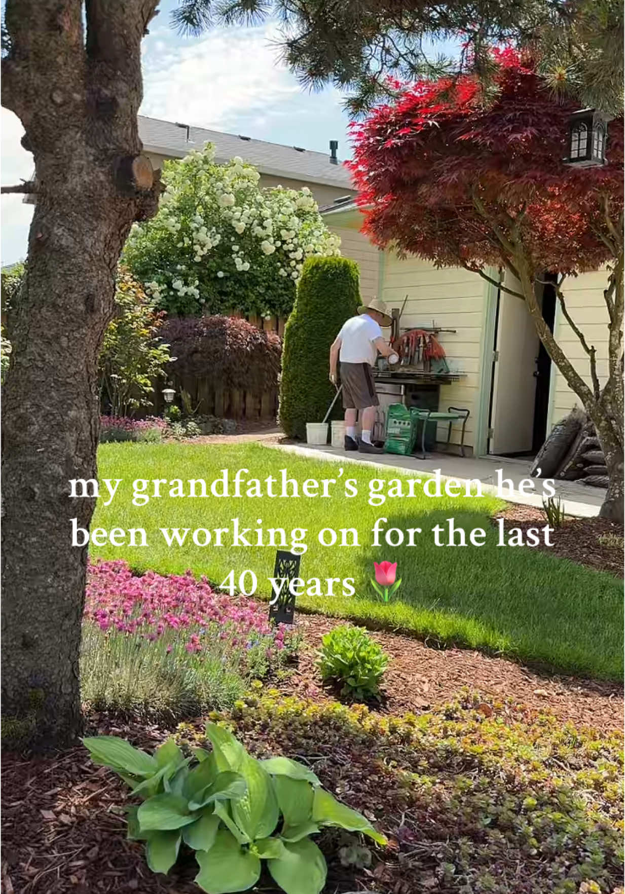 he’s the best gardener there ever was 🌻 #grandpa #grandparentsoftiktok 