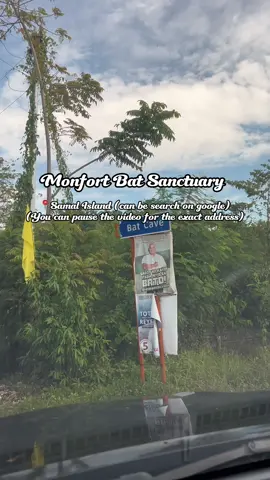 MONFORT BAT SANCTUARY in Brgy Tambo, Sitio Dungas, Babak District, Island Garden City of Samal. (You can search Monfort Bat Cave on Google Maps) Entrance fee is 120 pesos. #batcave #IslandGardenCityOfSamal #touristattraction 