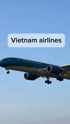 #vietnam #airlines #landing #london #heathrow #airport #boeing777 #aviation #viral_video #shorts 
