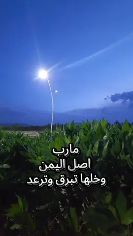 اذا كان اليمن اصل العرب فمارب اصل اليمن 🇾🇪🫡✌🏻 📮تييم ماربين 📮ملوك سباء📮 📮مارب العز 📮 والعز مارب📮