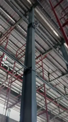 chỉ là làm khỉ thôi mà...