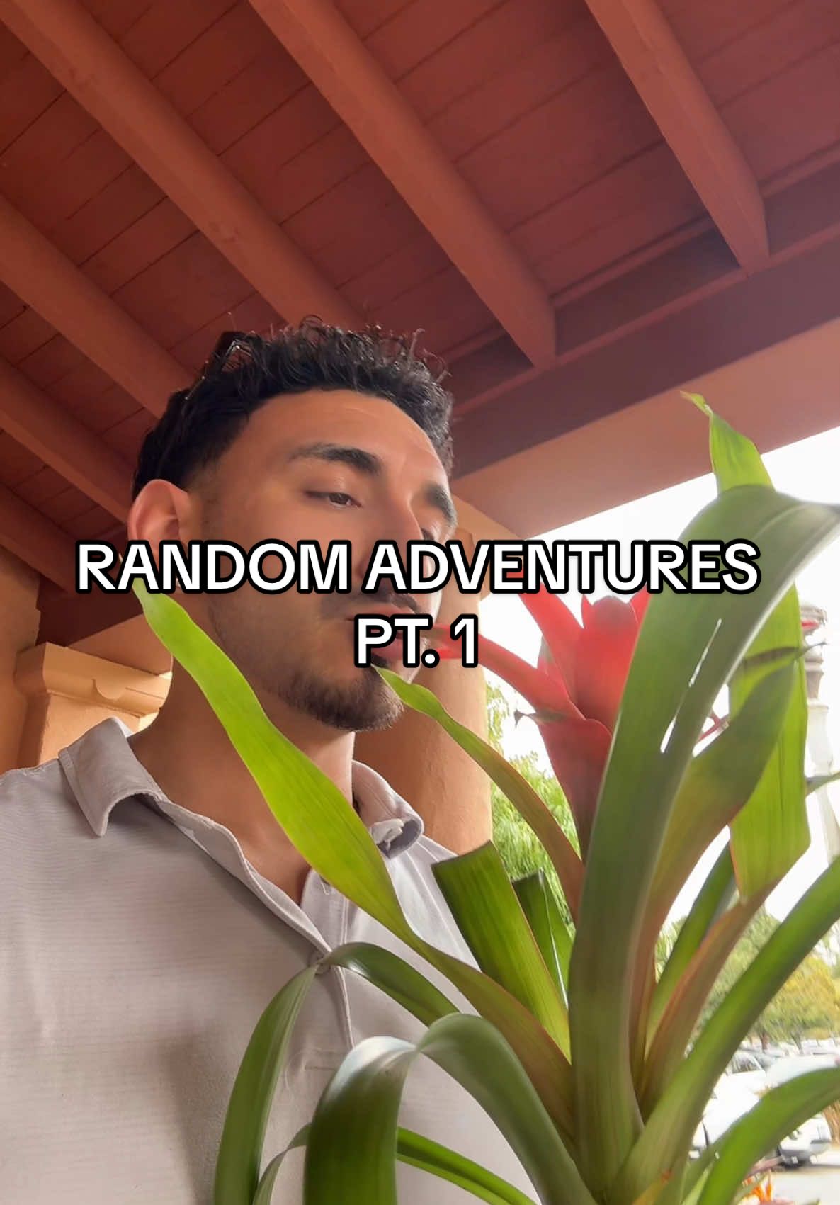 RANDOM ADVENTURE PT.1 #fyp #viral #traderjoes #plant #sandiego #random #adventure 