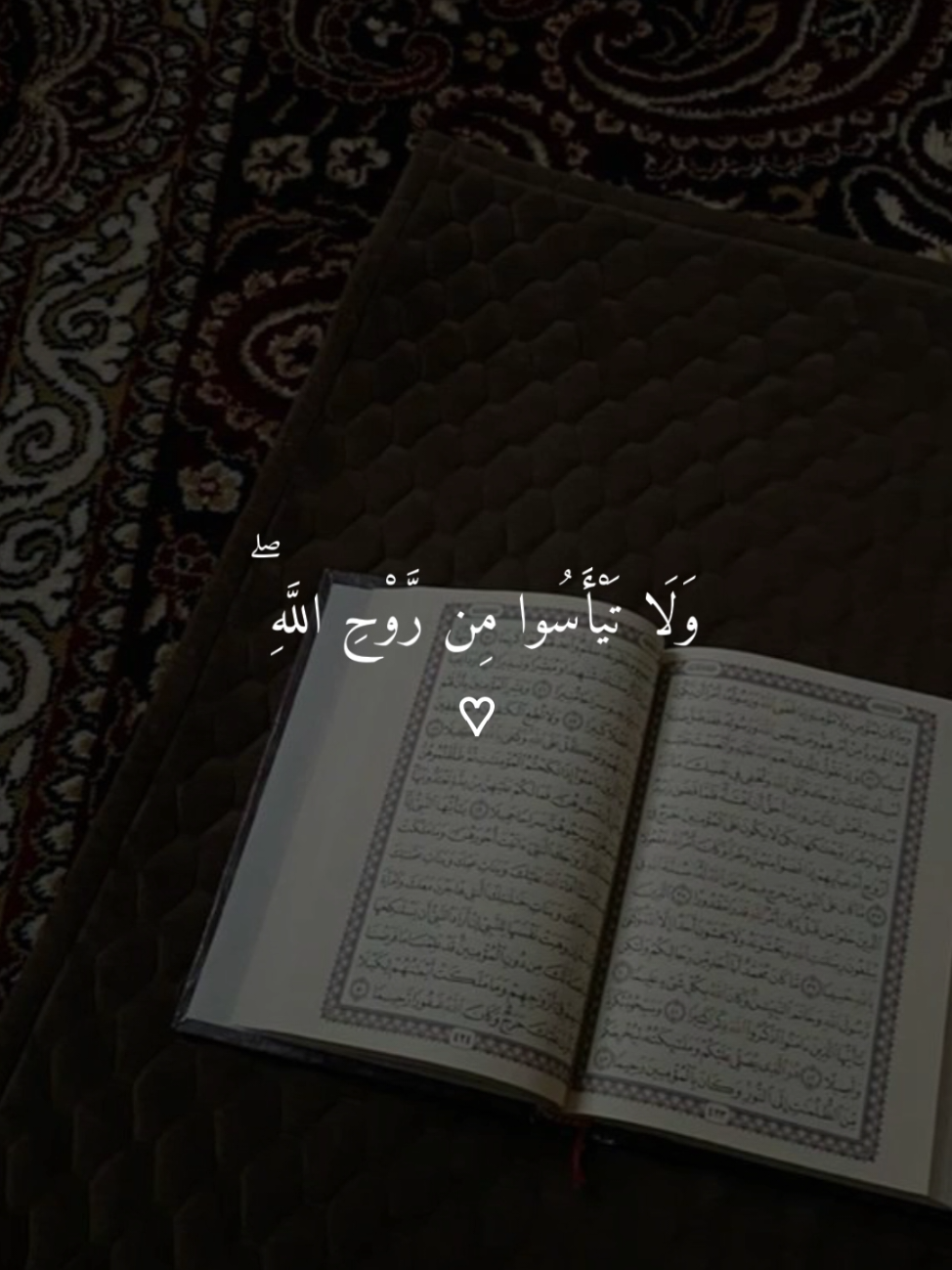 اذكروا الله 🤍 . . #قرآن #قرآن_كريم #القرآن #القرآن_الكريم #اجر_لي_ولكم #fyp #foryou #foryoupage #viral #xx_shehabelsayed_xx 