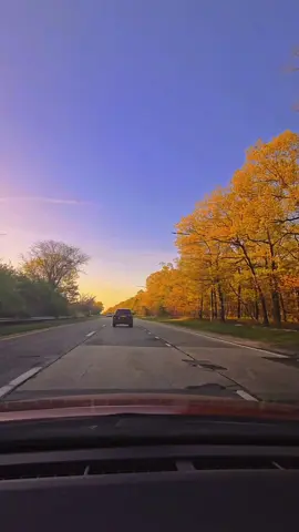 OSITO DORMILON - INSPECTOR 