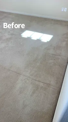 Let’s talk crease lines