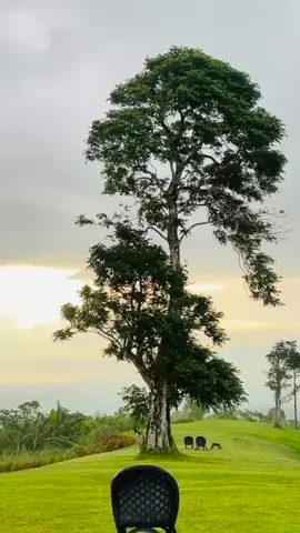 #manadostory #sulut 