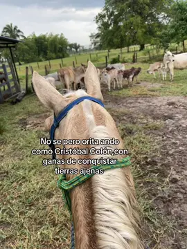 #paratiiiiiiiiiiiiiiiiiiiiiiiiiiiiiii #greenscreen #ganaderia #coleo #paratii #foryoupage #videoviral 