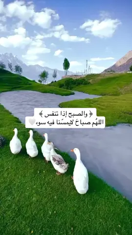 #الحمدلله_دائماً_وابداً #اجر_لي_ولك ##طاقة_إيجابية #دعاء #اللهم_صل_وسلم_على_نبينا_محمد #صباح_الخير 