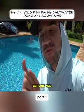 #fish #fishing #sentence #bellows 