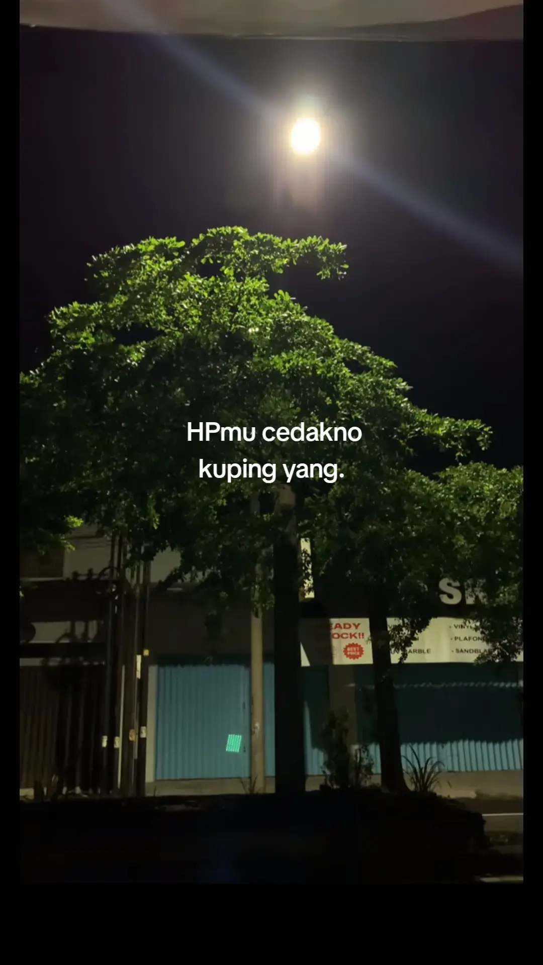 #jowobaper #jowocidro #masukberandafyp #katakatasadvibes #jowopride #galaubrutal #fypp 