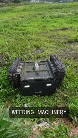 #fyp #viral #viralvideo #viraltiktok #foruoupage #lawntok #lawnmower #gardentotable #satisfying 