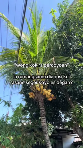 sewa iphone mulai 35 ribu : area Sragen Solo Tawangmangu Magelang ✅ Ready berbagai seri ✅ Ready 24 jam ✅ Bebas Pilih seri ✅ Charger sedia (free) ✅ Wajib booking via WA Sewa iPhone Sragen ‪0851 4266 7566 Kuwungsari -Sragen Kota Sewa iPhone Solo  0889 8076 3371 Kampung belakang Solo Square Sewa iPhone magelang 0813 2678 3713 mertoyudan magelang Sewa iPhone tawangmangu 0851 4266 7202 Terminal Tawangmangu  #sewaiphoneSragen  #sewa #iphoneboba #Boba05 #iphone11pro #sewaiphone #sragen #solo #magelang #tawangmangu #sewaiphonemurah . .