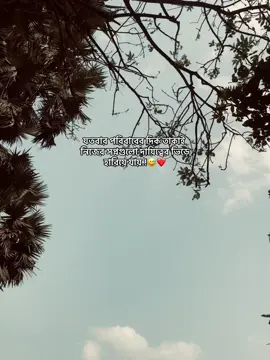 🥹🌸#fyp #foryoupage #unfrezzmyaccount #1millionaudition #foryou #foryoypage #foryoypage 