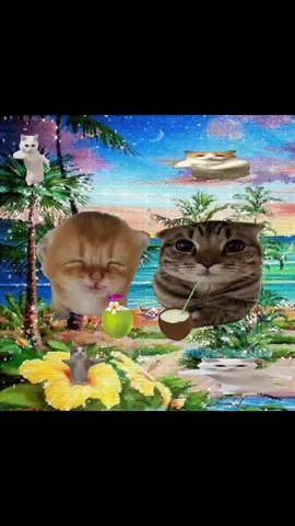 see you again 🐈 make your cat sing in talkingpets.ai website 🙏 #sillycat #catcore #catmeme #mecore #catsoftiktok #brainrot #cattok #jollytok #sillycats #corecore #cat 